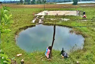 Farmer Innovative Crop Cultivation