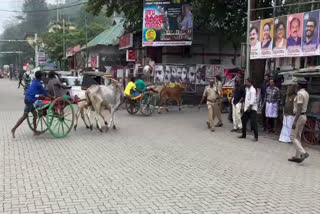 Bull Race to promote Navakerala Sadas  Navakerala Sadas Bull Race  Bull Race idukki  accident in bull race idukki  Bull Race Accident  Navakerala Sadas idukki  കാളയോട്ടം  നവകേരള സദസ് കാളയോട്ടം  കാളയോട്ടം നവകേരള സദസ് ഇടുക്കി  കാളയോട്ട മത്സരം ഇടുക്കി  നവകേരള സദസ് പ്രചരണം കാളയോട്ടം  കാളയോട്ടത്തിനിടെ അപകടം