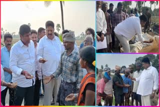 Minister_karumuri_Visit_Michaung_Cyclone_Affected_Areas