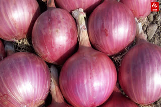 onion