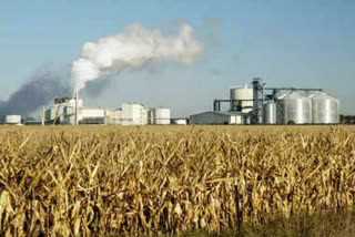 Ethanol Production Ban