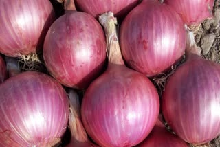 Onion Export Ban In India Till 2024 March 31