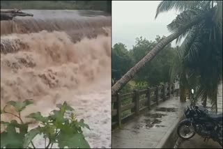 bodinayakanur kottakudi river flood