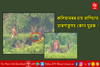 Suspicious youth in Kaliabor tea estate