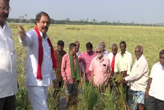 CPI_Secretarys_Ramakrishna_Visited_ Michaung_Affected_Area