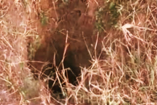 12-year-old boy dies after falling into 60-ft-deep hole in Jharkhand's Giridih