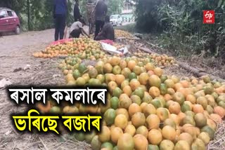 Oranges from Arunachal Pradesh Sold in Assam