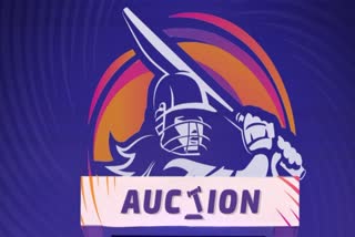 wpl 2024 auction