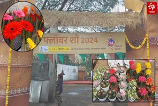 Kolhapur Flower Show, flower exhibition organized in kolhapur watch video