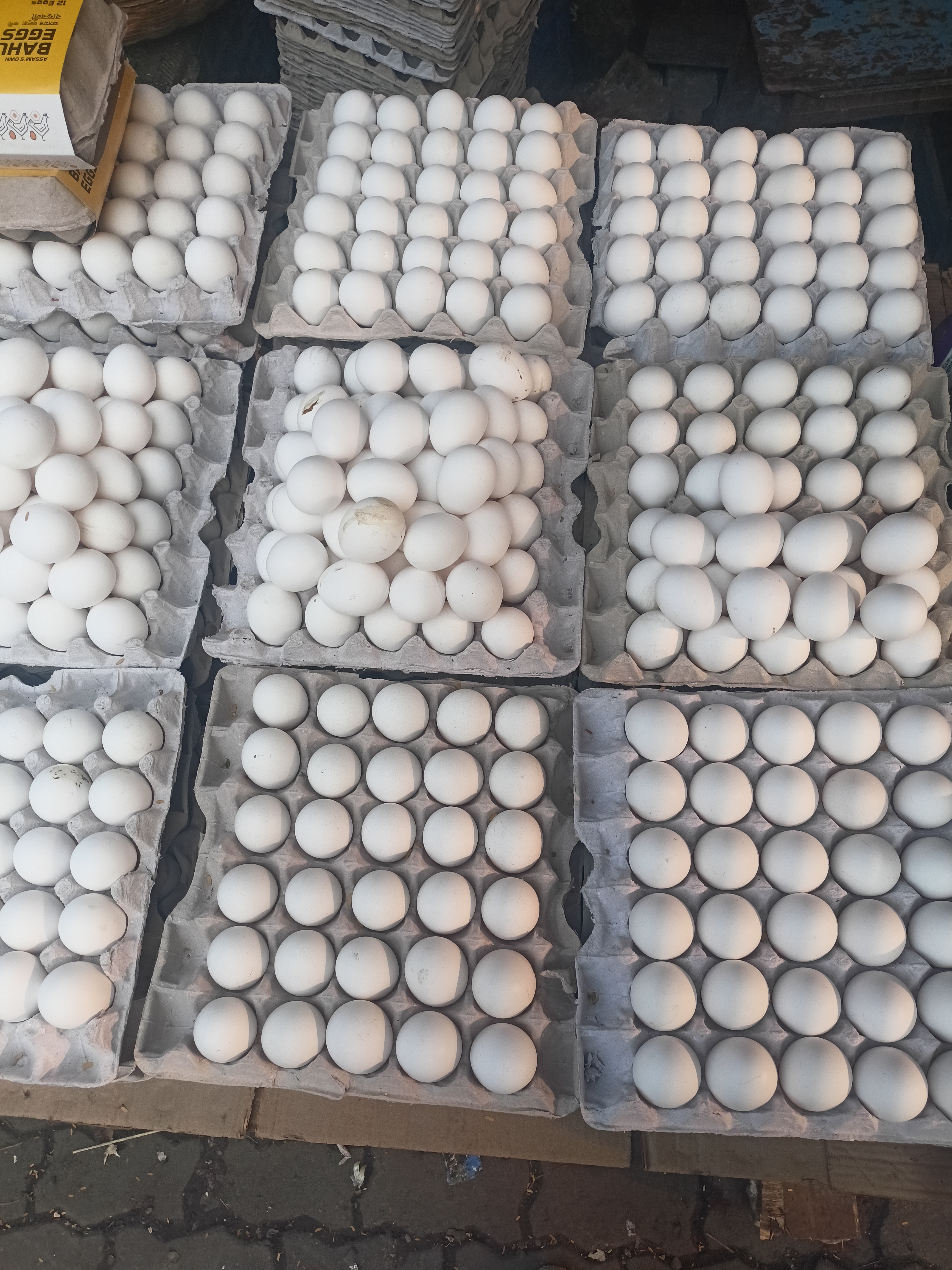 Egg prices are rising once again in Assam Market