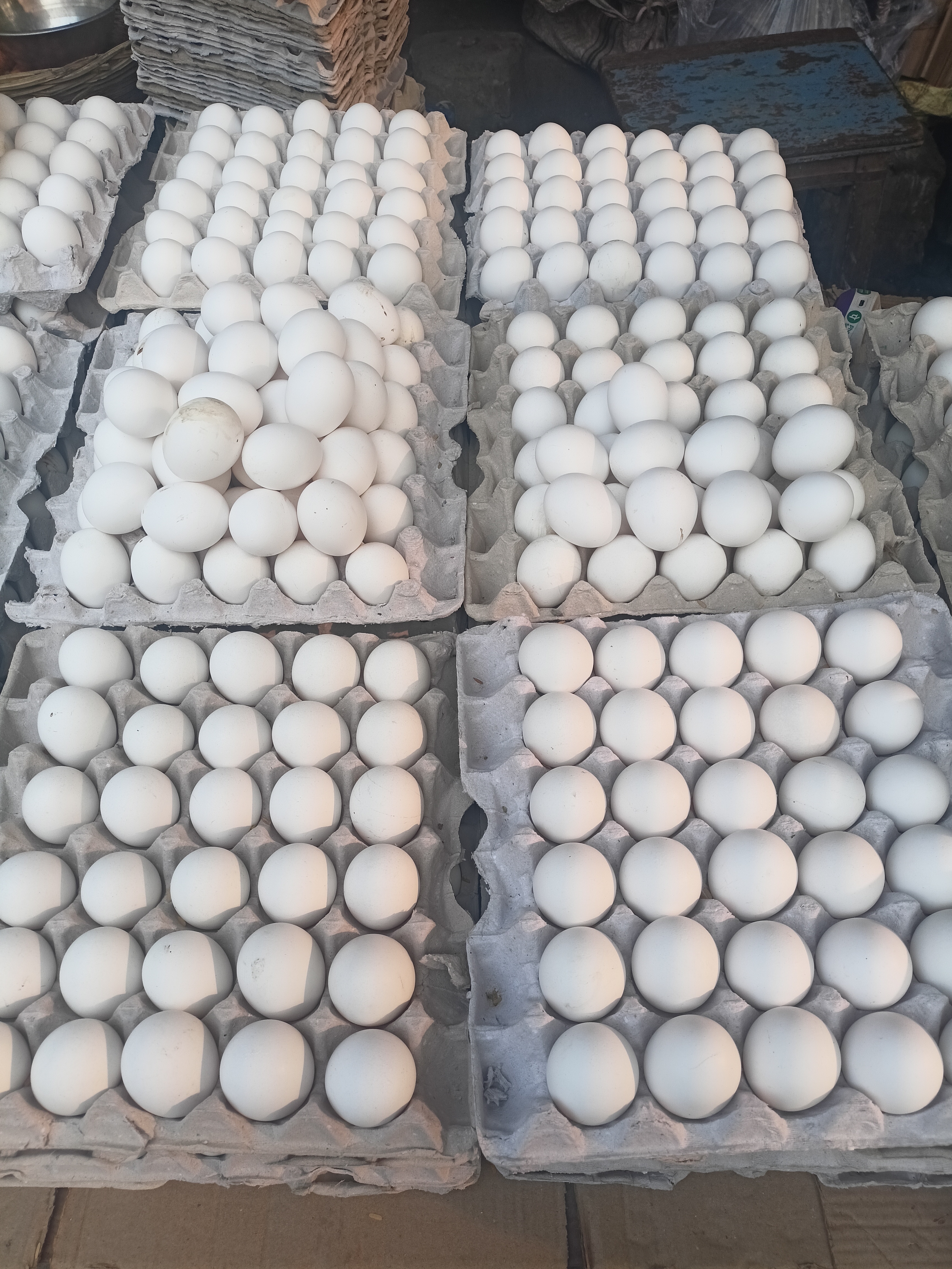 Egg prices are rising once again in Assam Market