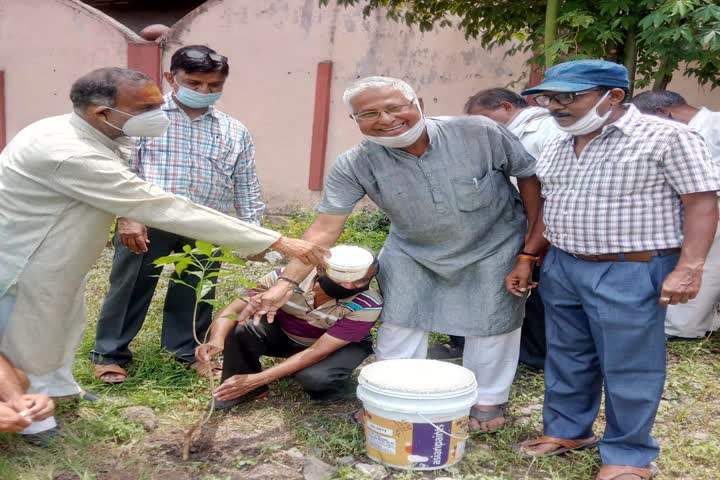 People planted saplings