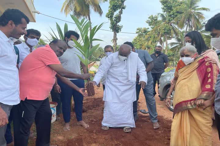 ಹೆಚ್​ಡಿಕೆ ಕೃಷಿ ತೋಟದಲ್ಲಿ ಹೆಚ್​ಡಿಡಿ