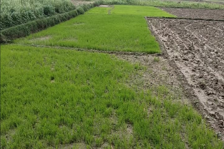 the problem of water logging on roads due to heavy rains in samastipur