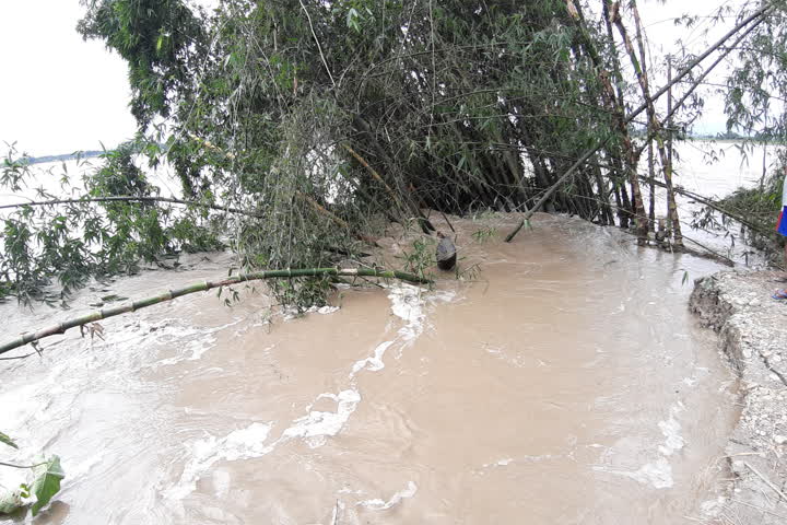 Assam Flood 20 : 93 people have lost their lives