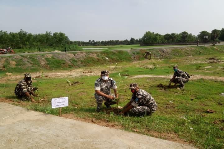 ssb plant saplings under jal jeevan hariyali abhiyan