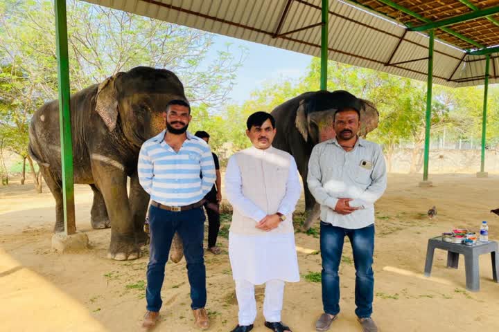 minister Shahnawaz Hussain has enjoyed the elephant ride of Amer