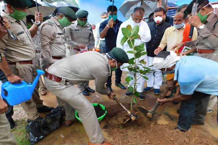 Minister Tamradhwaj Sahu did plantation