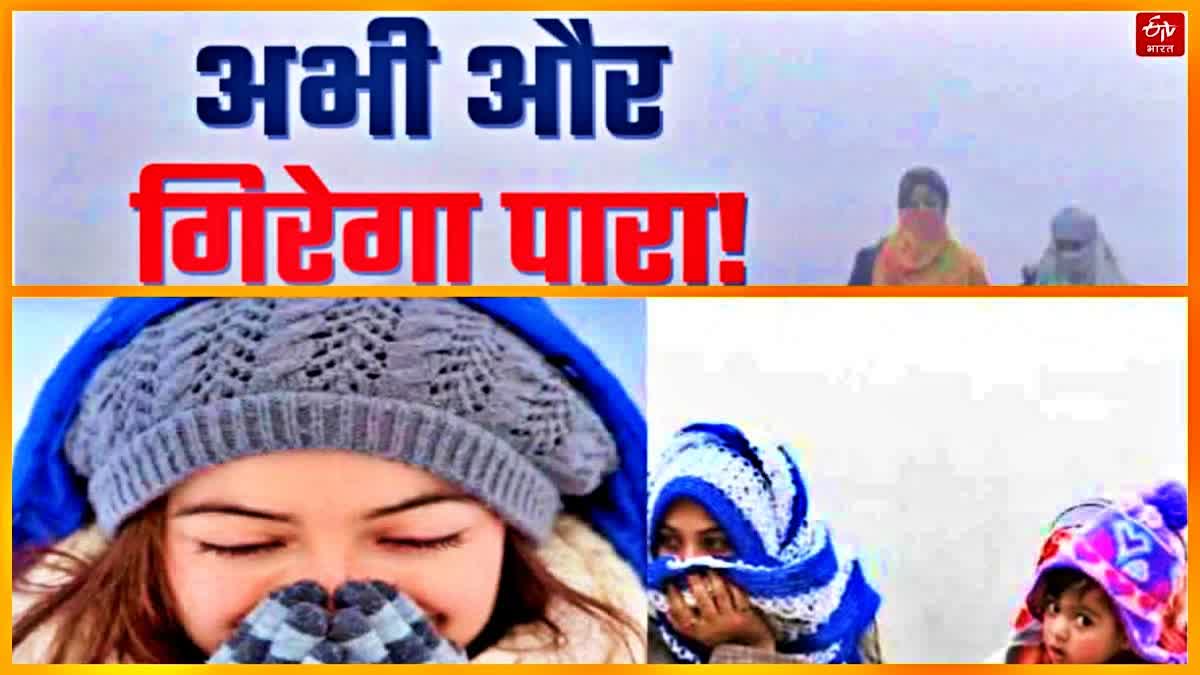 Haryana Weather Update Cold Wave in Haryana