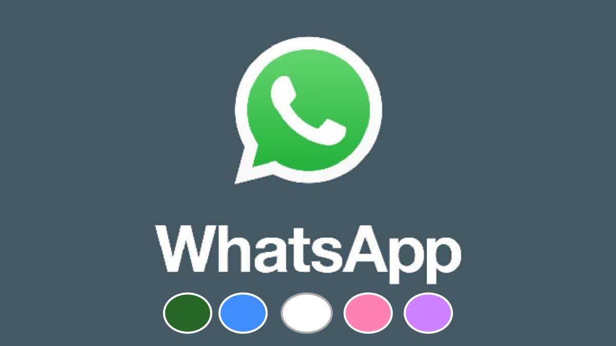 WhatsApp testing App Color feature
