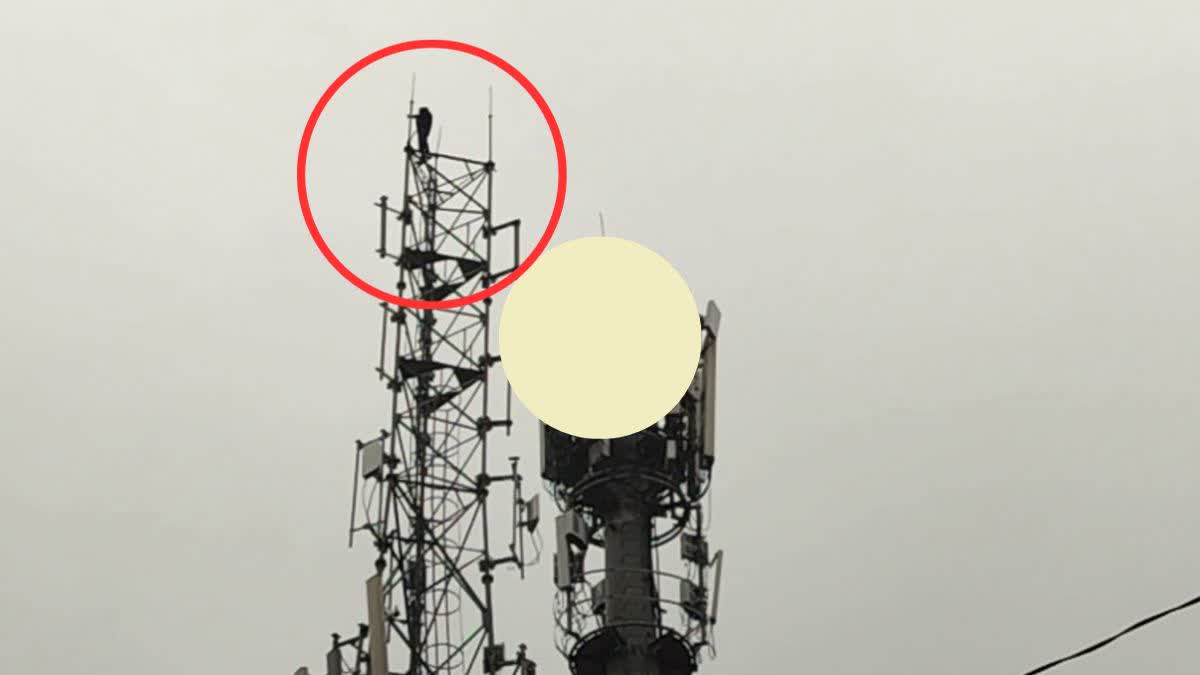 Young man climbed on mobile tower in Churu