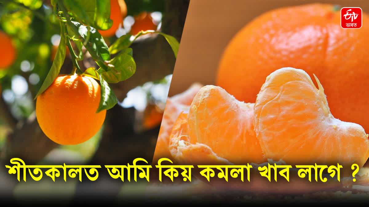 Amazing Health Benefits of Orange during the winter season