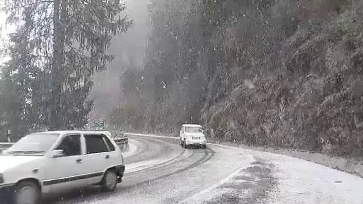 Snowfall In Shimla