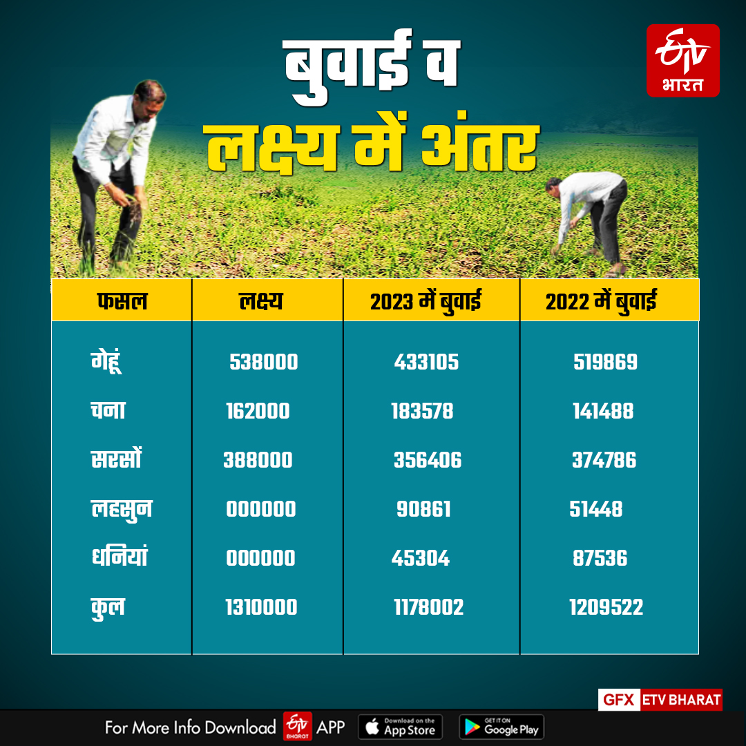 sowing is 10 percent less in kota divison