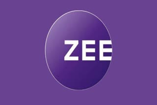 ZEE Sony Merger