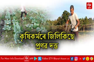 Agricultural Revolution of Educated Youth in Dhemaji