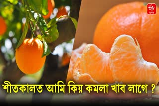 Amazing Health Benefits of Orange during the winter season