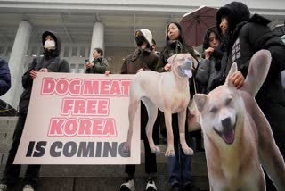 South Korea's parliament on Tuesday passed a landmark ban on production and sales of dog meat, as public calls for a prohibition have grown sharply over concerns about animal rights and the country's international image.