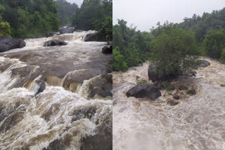 മലവെള്ളപ്പാച്ചിൽ  ശക്തമായ മഴ  Heavy rain  flood  Iruvazhinji Puzha  ഇരുവഴിഞ്ഞി പുഴ