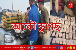 Drugs paddler arrested in Karimganj