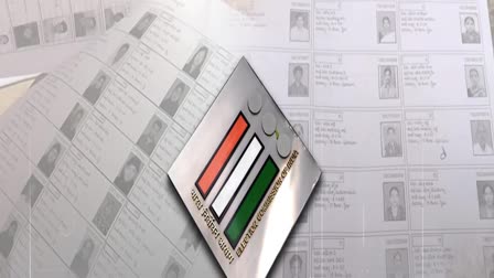 Irregularities_in_AP_Voter_List