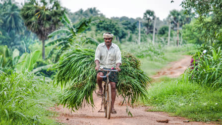 PM Kisan Samman Nidhi Yojana (File Photo)