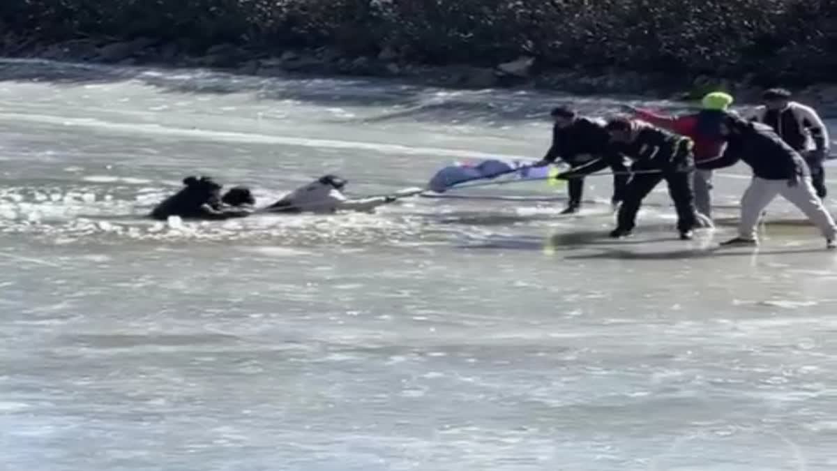 Tourists stranded in frozen lake