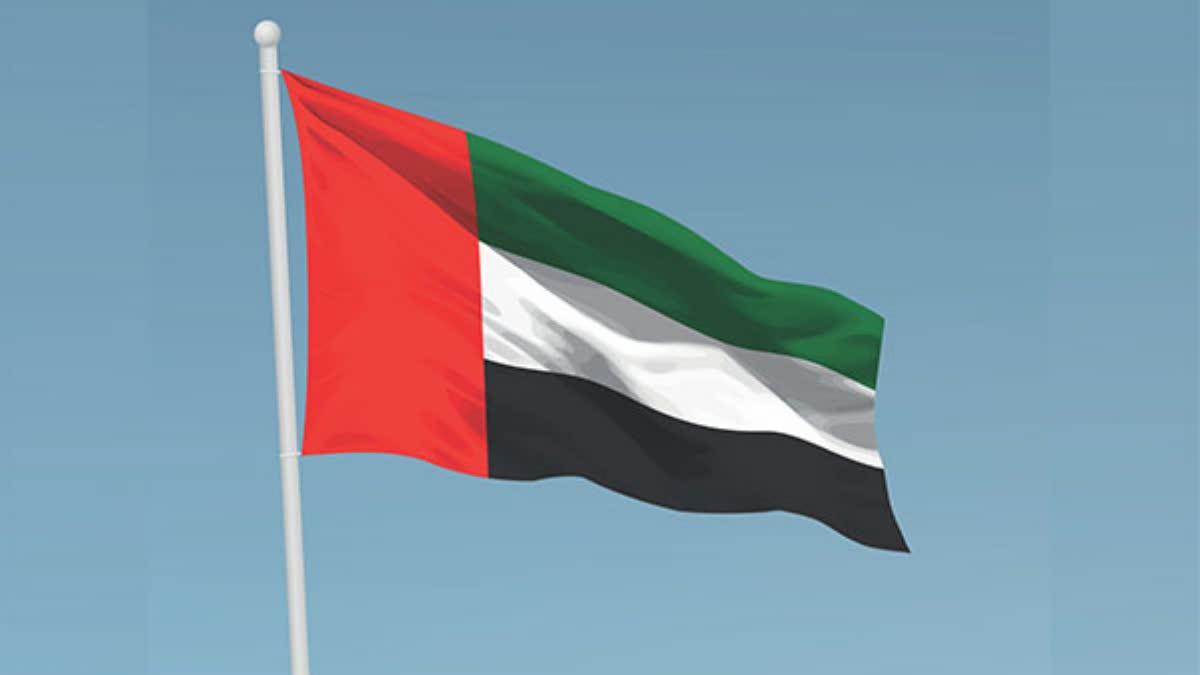 UAE launches support campaign  Gaza  Operation Chivalrous Knight 3  Emirates red Crecent