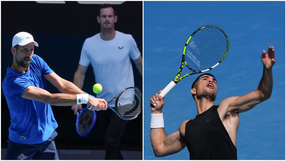 Australian Open 2025 Men’s Singles Draw Novak Djokovic And Carlos