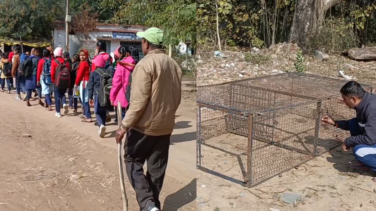 SATNA MONKEY ATTACKED ON STUDENT AND WATCHMAN