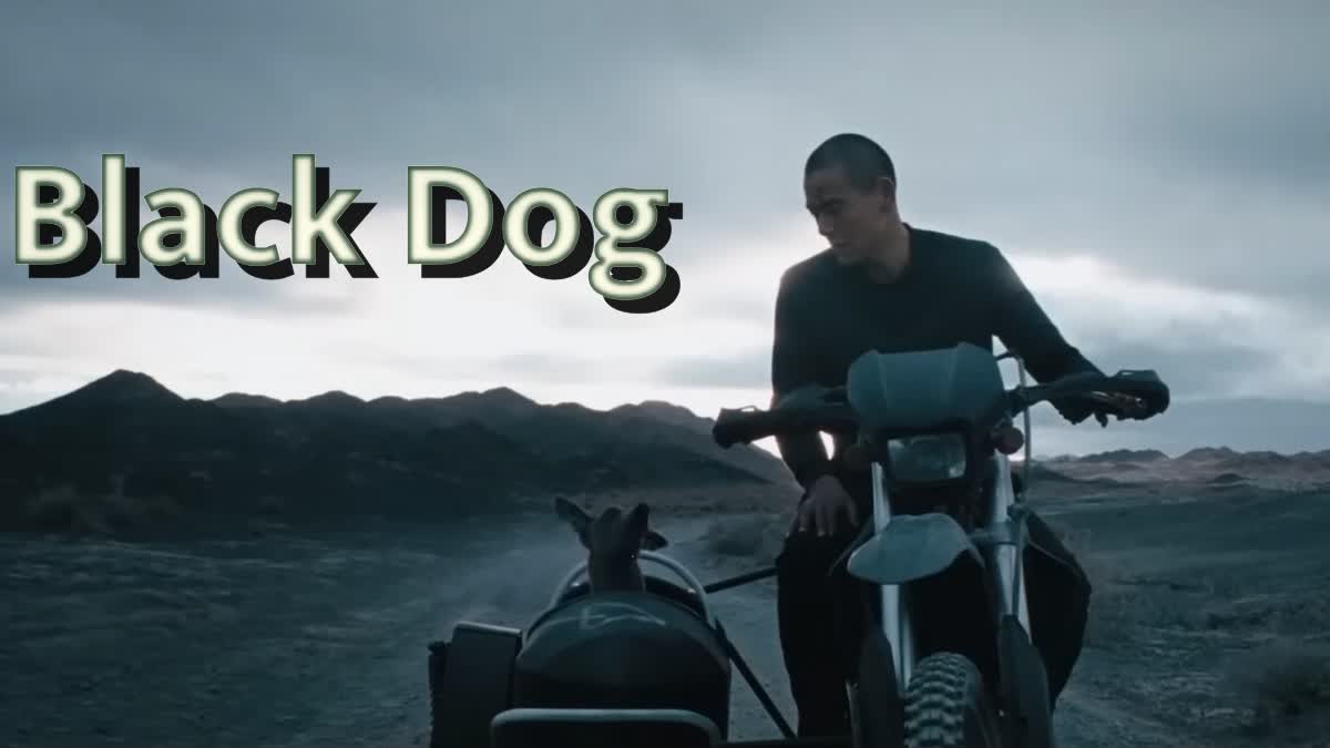 The film 'Black Dog'