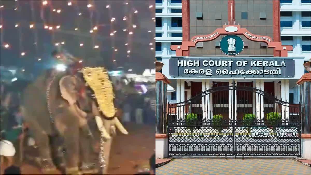 KERALA HC PUTHIYANGADI NERCHA  മലപ്പുറം പുതിയങ്ങാടി നേർച്ച  ആന എഴുന്നള്ളിപ്പ്  കേരള ഹൈക്കോടതി ആന