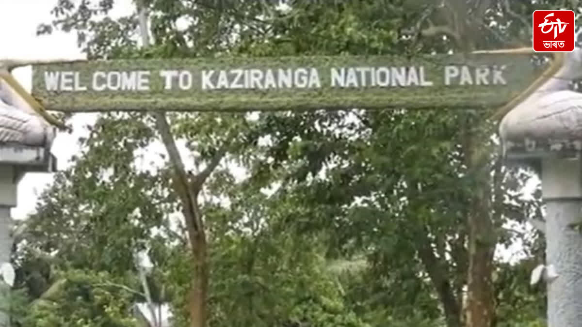 Kaziranga National Park shines on the world's tourism map