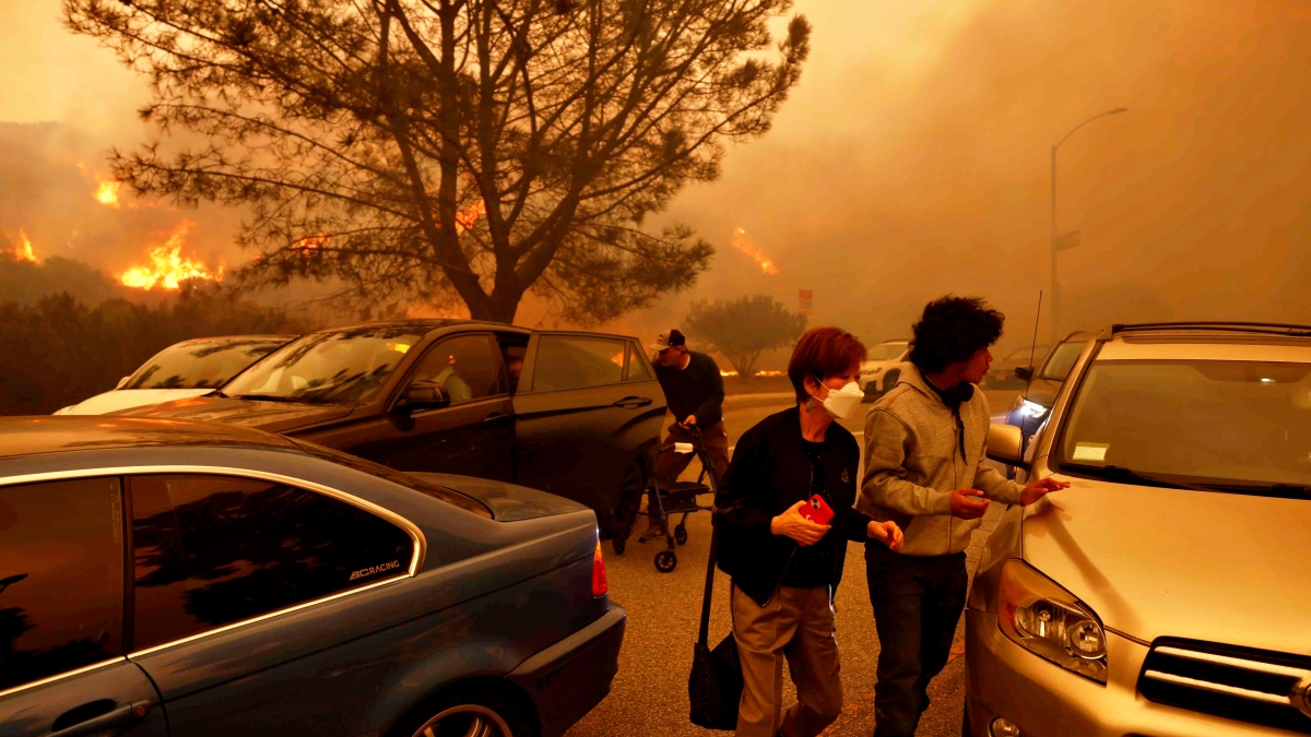 Los Angeles Wildfires