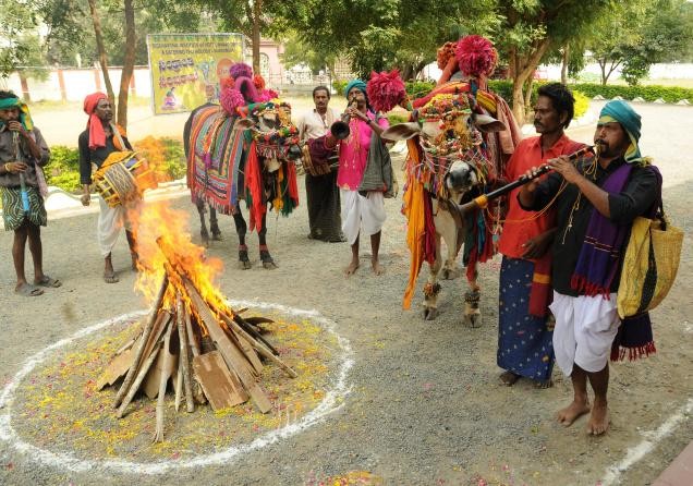 సంక్రాంతి భోగి మంటలు