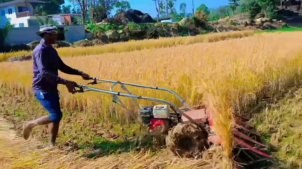 PADDY HARVESTING MACHINE