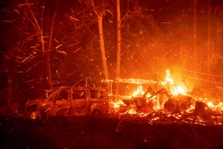 Los Angeles Wildfires