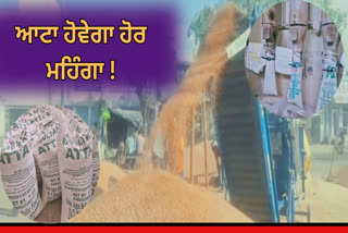 PUNJAB WHEAT EMERGENCY