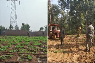 forest and non cultivated land used for poppy cultivation in Palamu