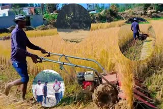 PADDY HARVESTING MACHINE